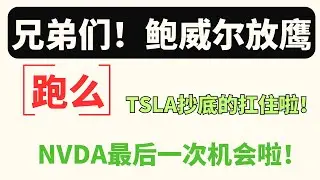 【美股嘉可能】鲍威尔放鹰！兄弟们！跑么！TSLA抄底的扛住啦！BTC高位震荡，BTC股下来还是可以搞搞！NVDA最后一次期权机会！大盘指数回调无法避免，但问题不大！勿慌！QQQ MSTR TSLA 等