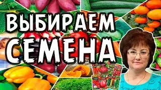 Выбираем  семена, самые лучшие.