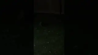 What the hell is this 😳🤯 ???