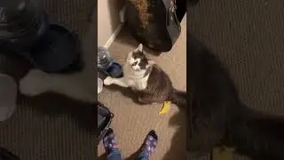 Время спать, а мы не ели