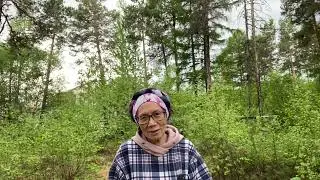 Поиск дикоросов для исцеления