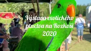 papoušci na Rozkoši 2020