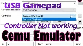 USB Gamepad Controller Not working in Cemu Emulator