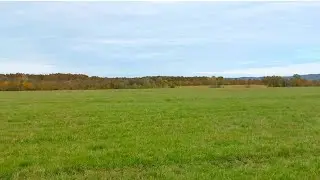 Прогулка в лес, наши покупки/жизнь на юге.