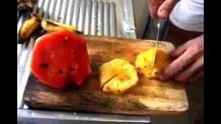 Simple Breakfast Idea - Tuna and Fruit