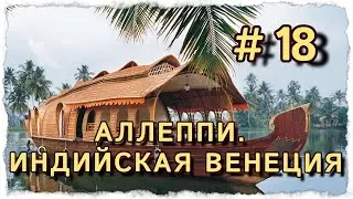 АЛЛЕППИ ИНДИЙСКАЯ ВЕНЕЦИЯ #центрярай #индия #путешествия #панчакарма #венеция #аллеппи