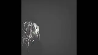 Distant Stares - Breaking the Law