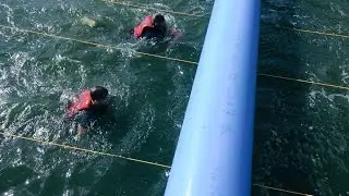 London River Rat Race 2015