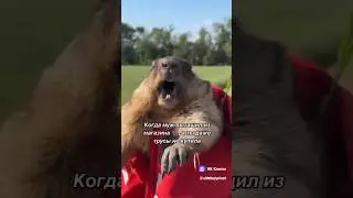 ВЕРНИТЕ МЕНЯ ОБРАТНО🦫 #кино #фильм #сериал #юмор