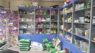 In the seed store 
