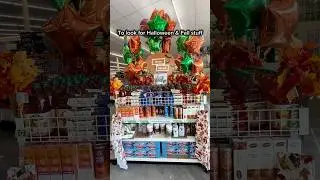 Dollar Tree Halloween and Fall new items! #shorts #dollartree #halloween #dollartreefalldecor #fall