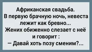 Африканская Свадьба! Невеста Как Бревно! Сборник Свежих Анекдотов! Юмор!