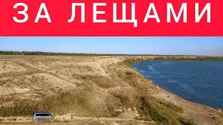 Наловил много леща на горох. р Иртыш в Сибири.