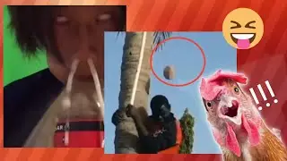 I'm addicted to funny compilation