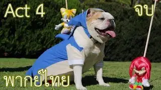 ในที่สุดก็จบสักที่ ดร.หัวไข่!!! - Sonic The Hedgedog: Act 4 (Finale) พากย์ไทย
