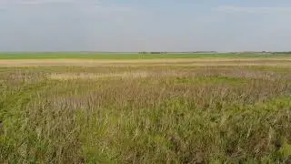 На Дону  напротив Арпачина 28.04.19