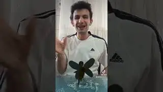 Yanıyorum ya habibi bana senden fayda yok:)))