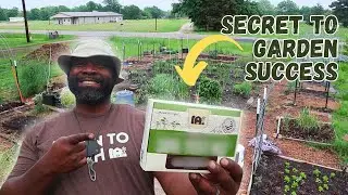 Your Garden COULD Fail WITHOUT Knowing This | NORTH EAST TEXAS