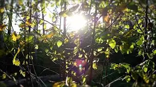 Видео ученицы после первого урока