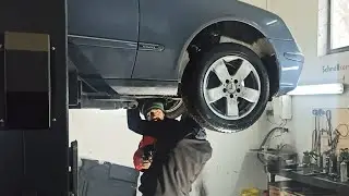 TIRCI REDKİT DÜLDÜL'ÜN AYAĞINI KIRDI.YİNE TEKER HAVADA.YAŞAMAYA ÇALIŞIYORUZ