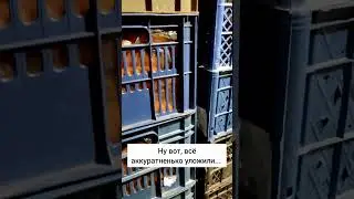 Хранение овощей.
