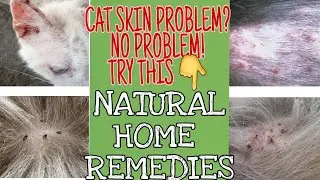 HOW TO TREAT CAT SKIN PROBLEM IN NATURAL WAY....part 2