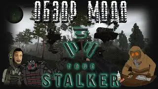 TRUE STALKER — Лучший мод за последние 10 лет? | Обзор