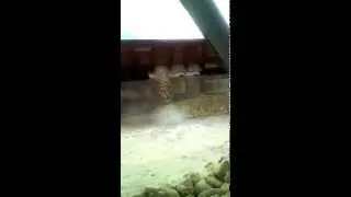 Экстремальная работа))))