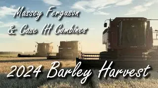 2024 Barley Harvest with Case IH 9230, Case IH 2388 & Massey Ferguson 865 Combines at Ashburton, NZ