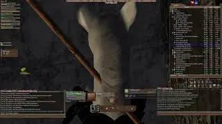 ColinsHorseAnimation
