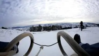 Schlittenfahrn in Steinheim Jan 2017