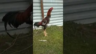 17 марта 2019 г.