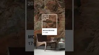 🤎 Introducing Pantone Color of the Year 2025: PANTONE 17-1230 Mocha Mousse.