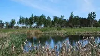 летнее диско  исп Игорь Кандур и Ольга Сердцева