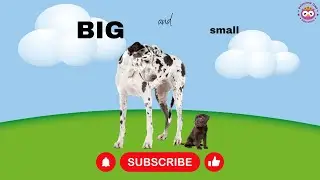 Big and Small for children / Learning big and small / Early maths for kids