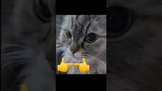 🖕