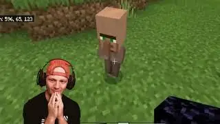 minecraft villager music