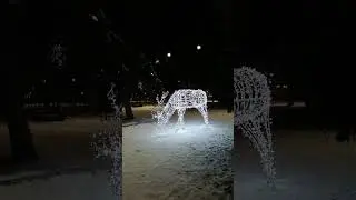 Звездные животные
