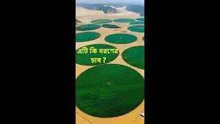 Mysterious farming in Saudi Arabia