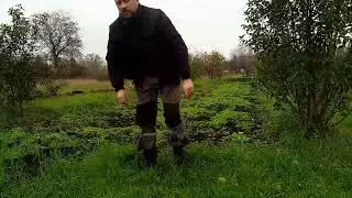Обработка картофеля в черноземной полосе.