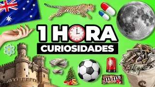 ¡1 HORA De Muchos DATOS CURIOSOS y CURIOSIDADES! ⏰(+210 Datos) | #26