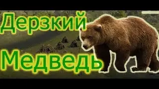Дерзкий медведь. Dawn of man.