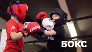 Бокс дети