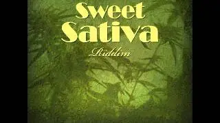Fyah T feat. Jerry Don & Martin Trilla - Decent Draw (Sweet Sativa Riddim)