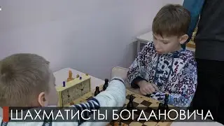 Мир шахмат
