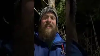Day 14 - Give it a day before making a decision #appalachiantrail #thruhike #training #trailrunning