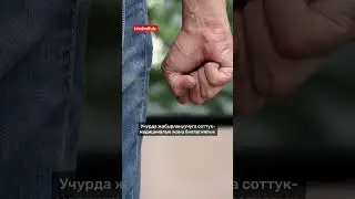 27 августа 2024 г.