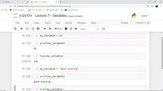 Python in 5 minutes | Lecture 8 | Variables