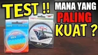 TEST ‼ STRONGEST LEADER STRING?