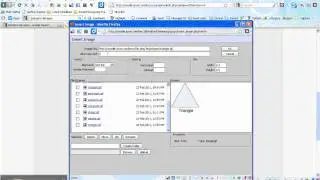 Moodle add table to web page